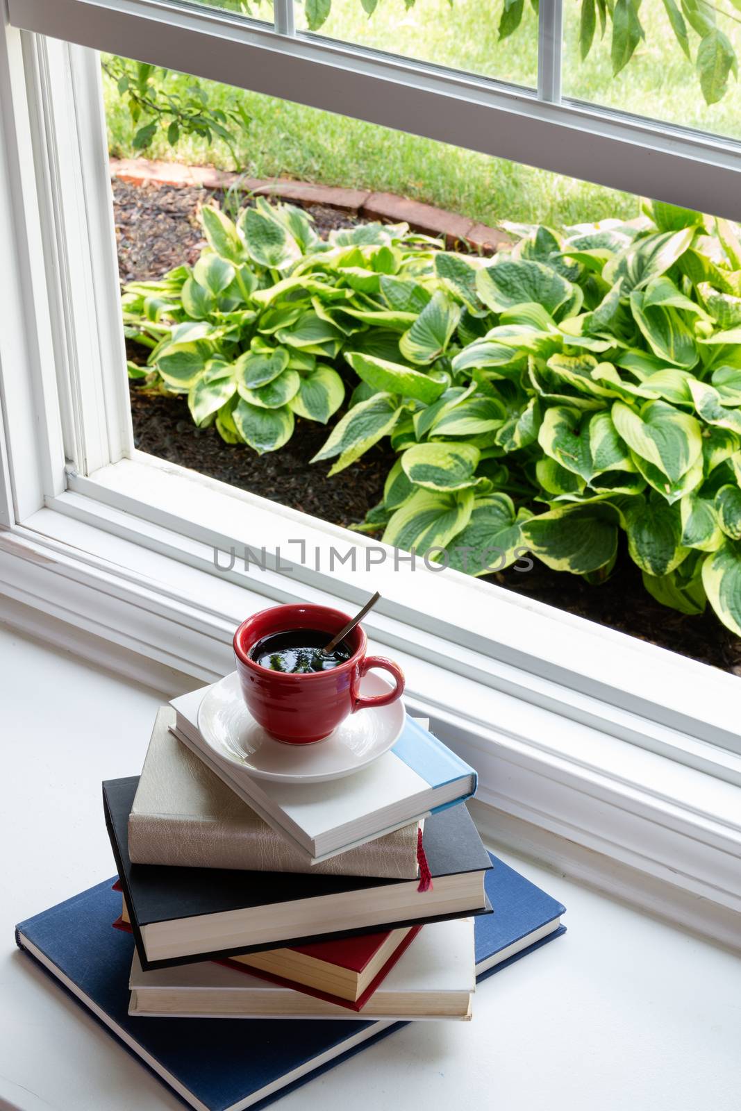 Coffee on Piled Books Next to Glass Window by coskun