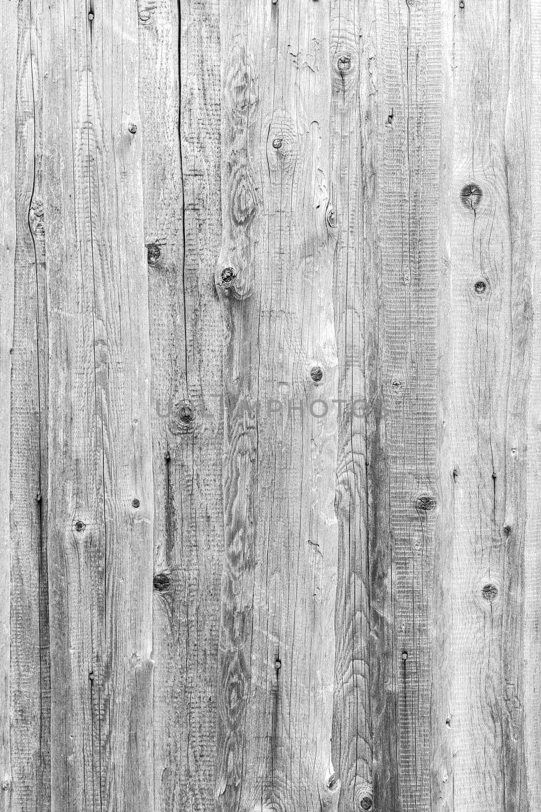 High resolution white wood background With Natural Patterns