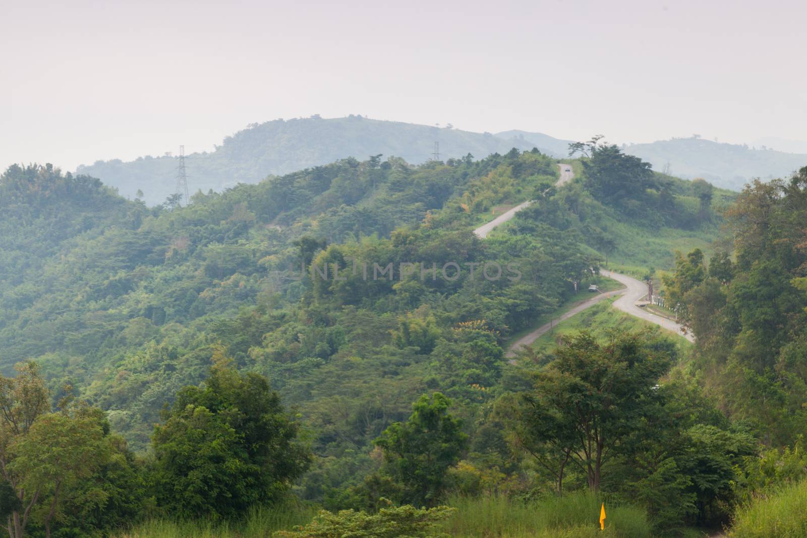 Curvy roads on the mountain. Turn on the mountain road with trees on both sides.