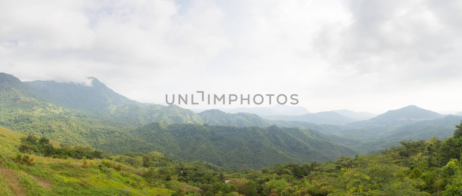 panorama forest and mountain.Mountains and trees in the wild long range.