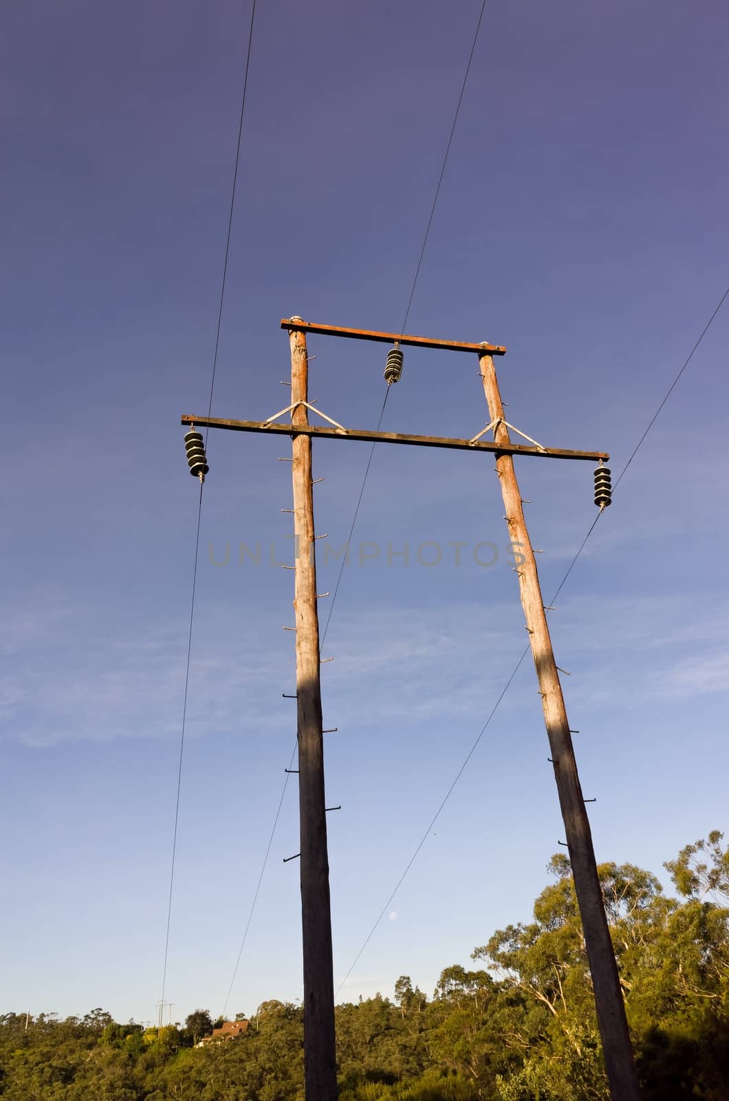 Photograph of the moon shining through electric poles on a sunny day in the Australian bush