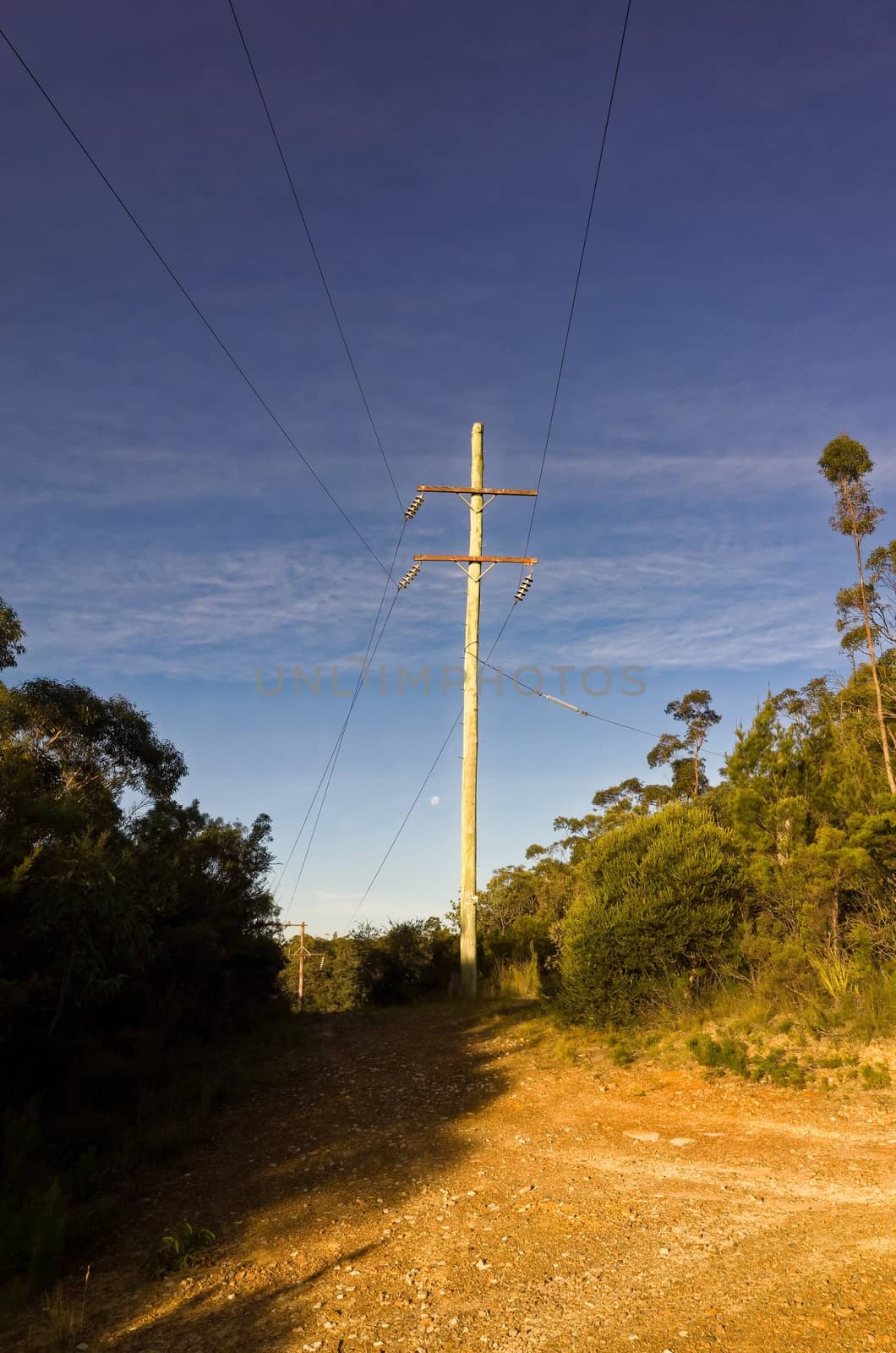 Photograph of the moon shining through electric poles on a sunny day in the Australian bush
