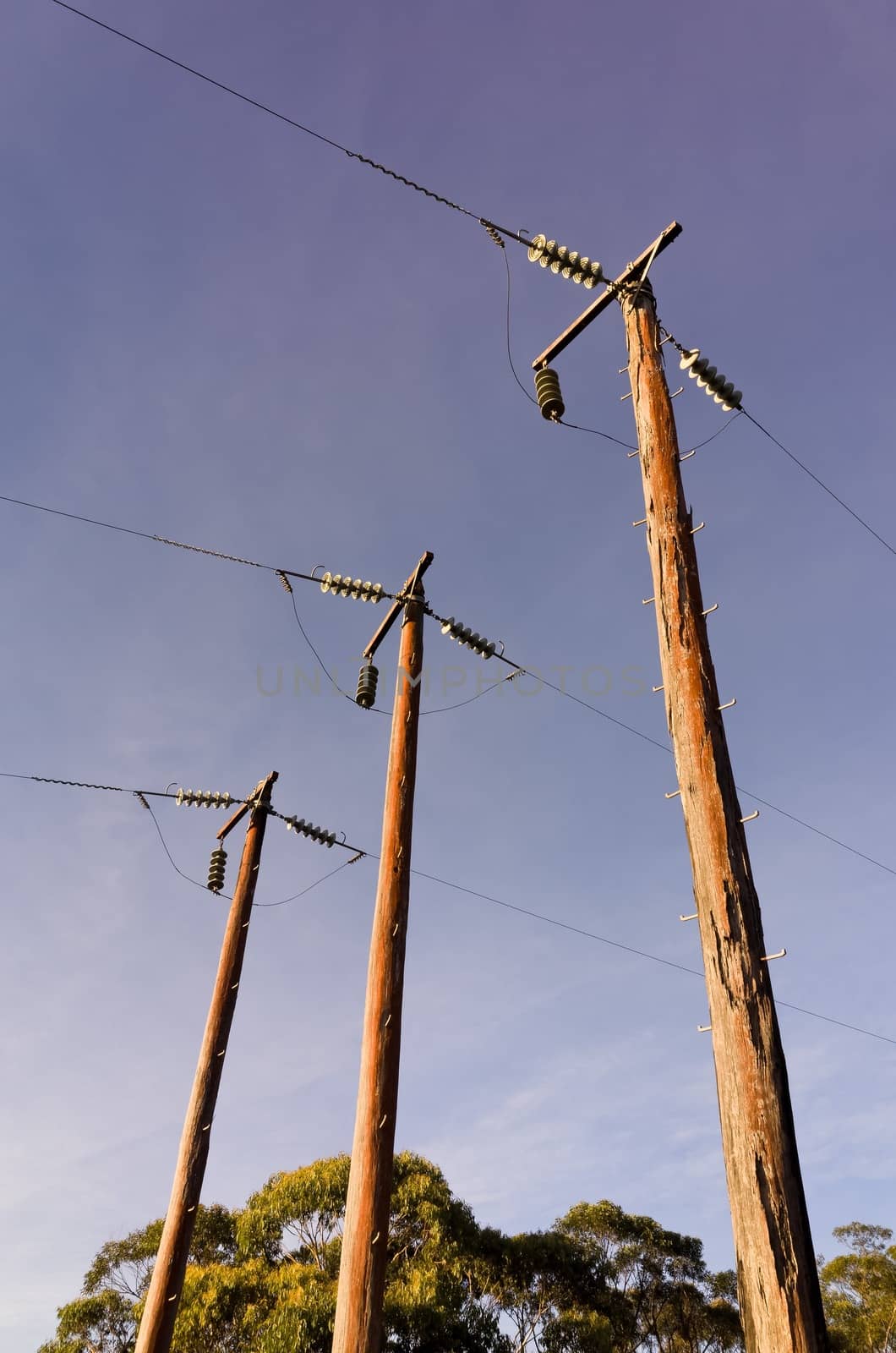 Photograph of electric poles on a sunny day in the Australian bush