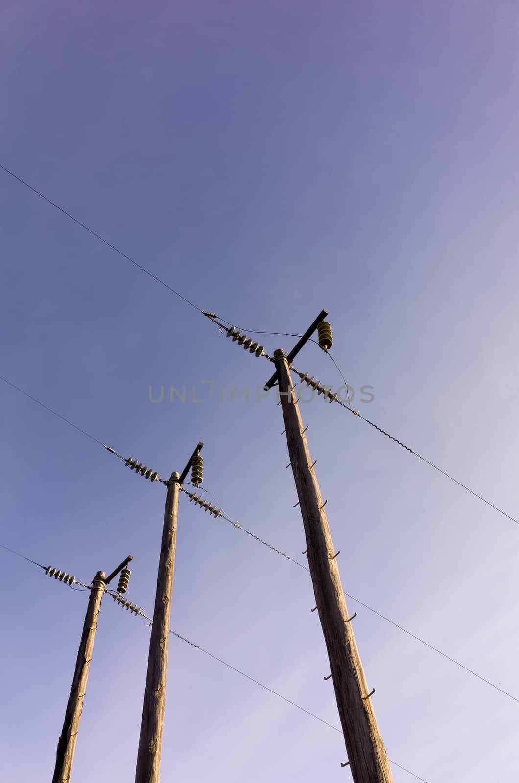 Photograph of electric poles on a sunny day in the Australian bush