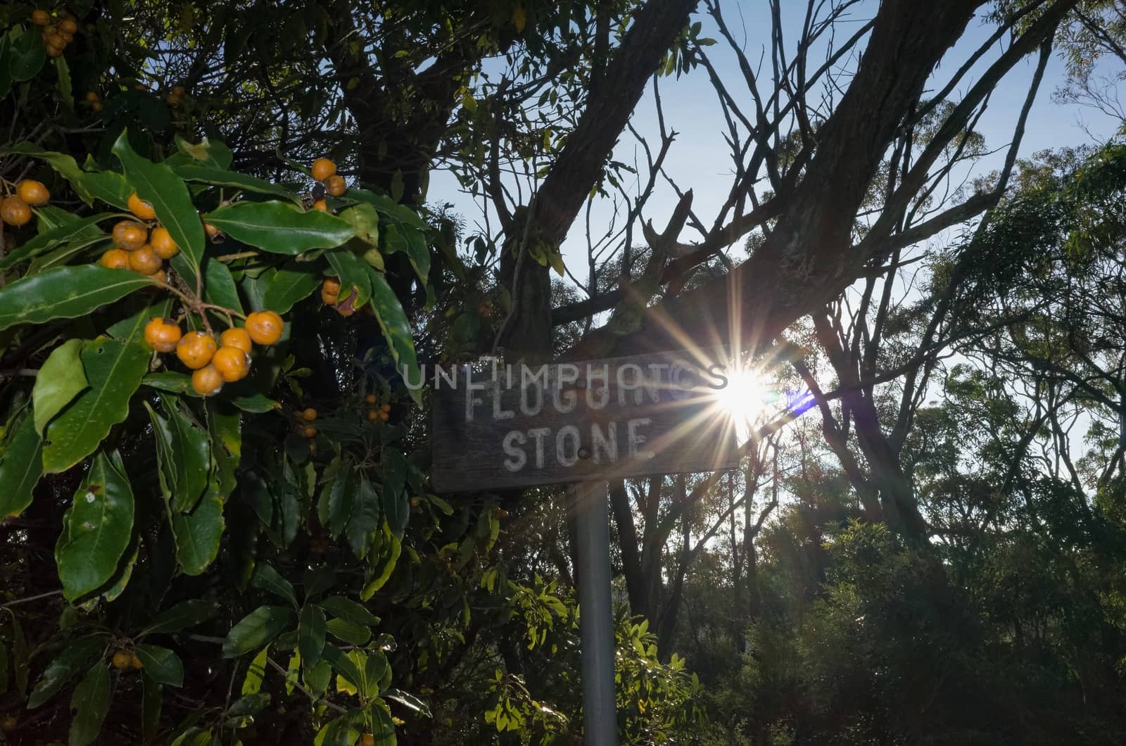 Photograph of sun shining from behind a signboard.