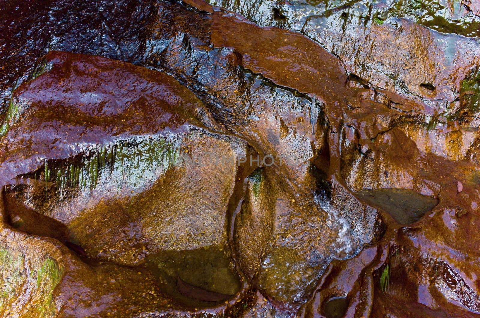 Exposed, slippery and shiny sandstone bottom of a stream with algae