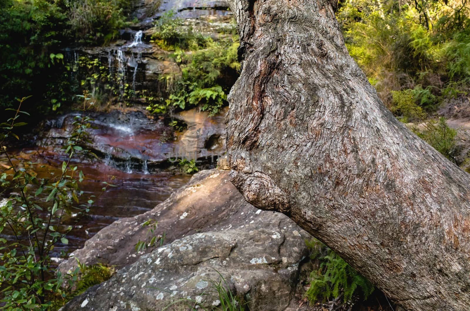 Cataract Falls in the Blue Mountains, Australia by jaaske