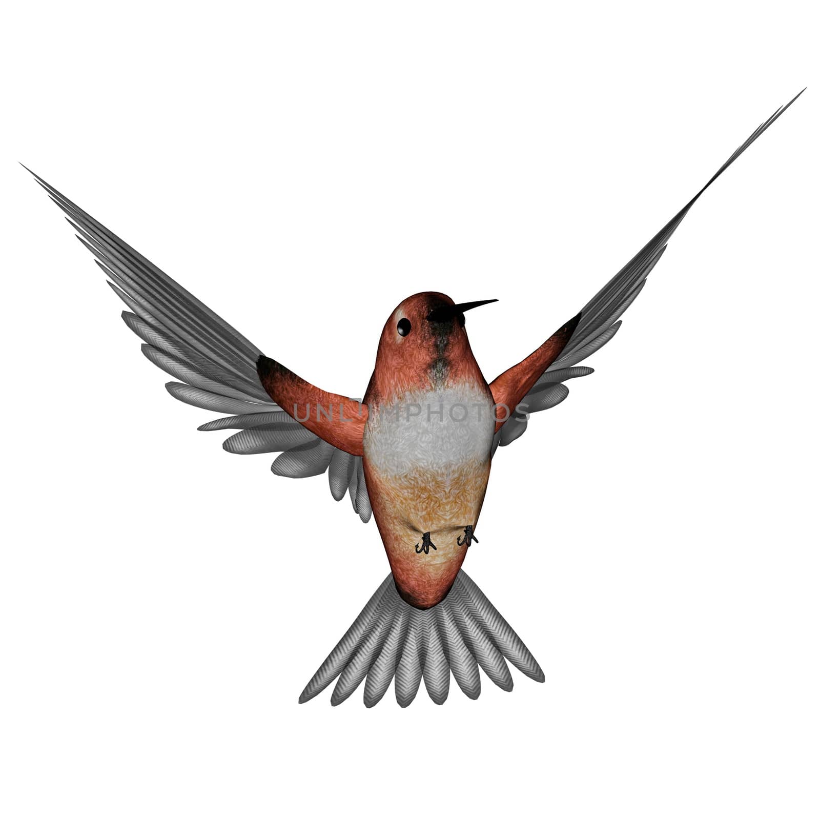 Allen hummingbird - 3D render by Elenaphotos21