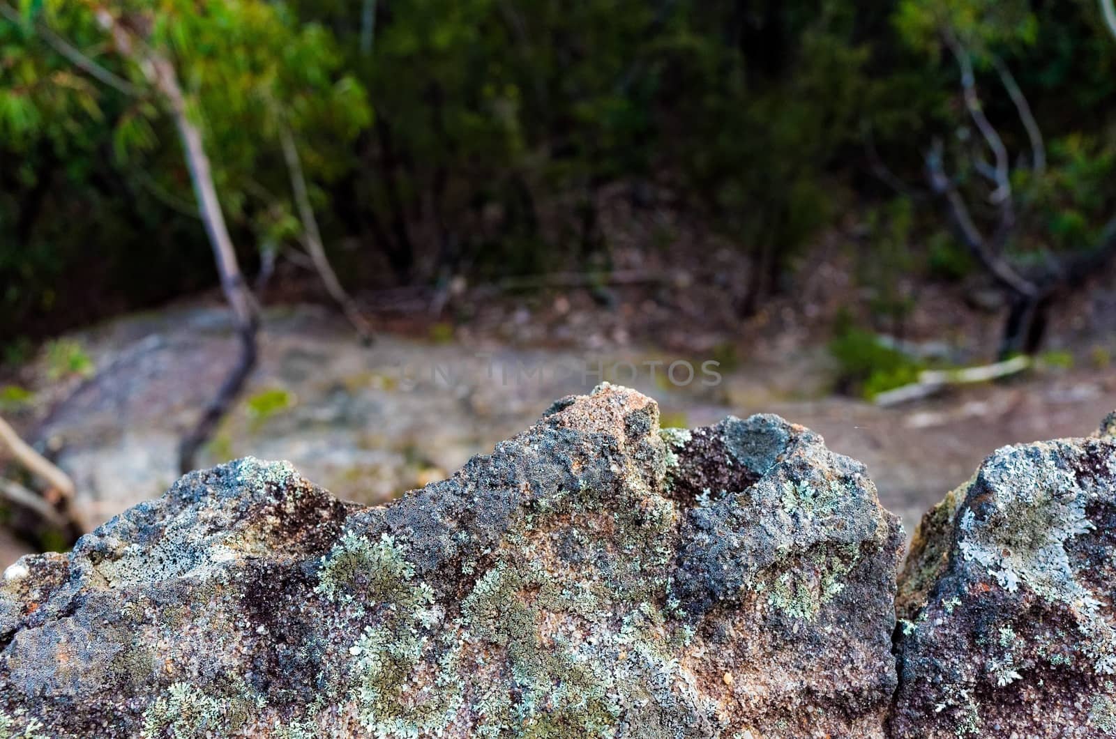 Rock formations in the Australian bush by jaaske