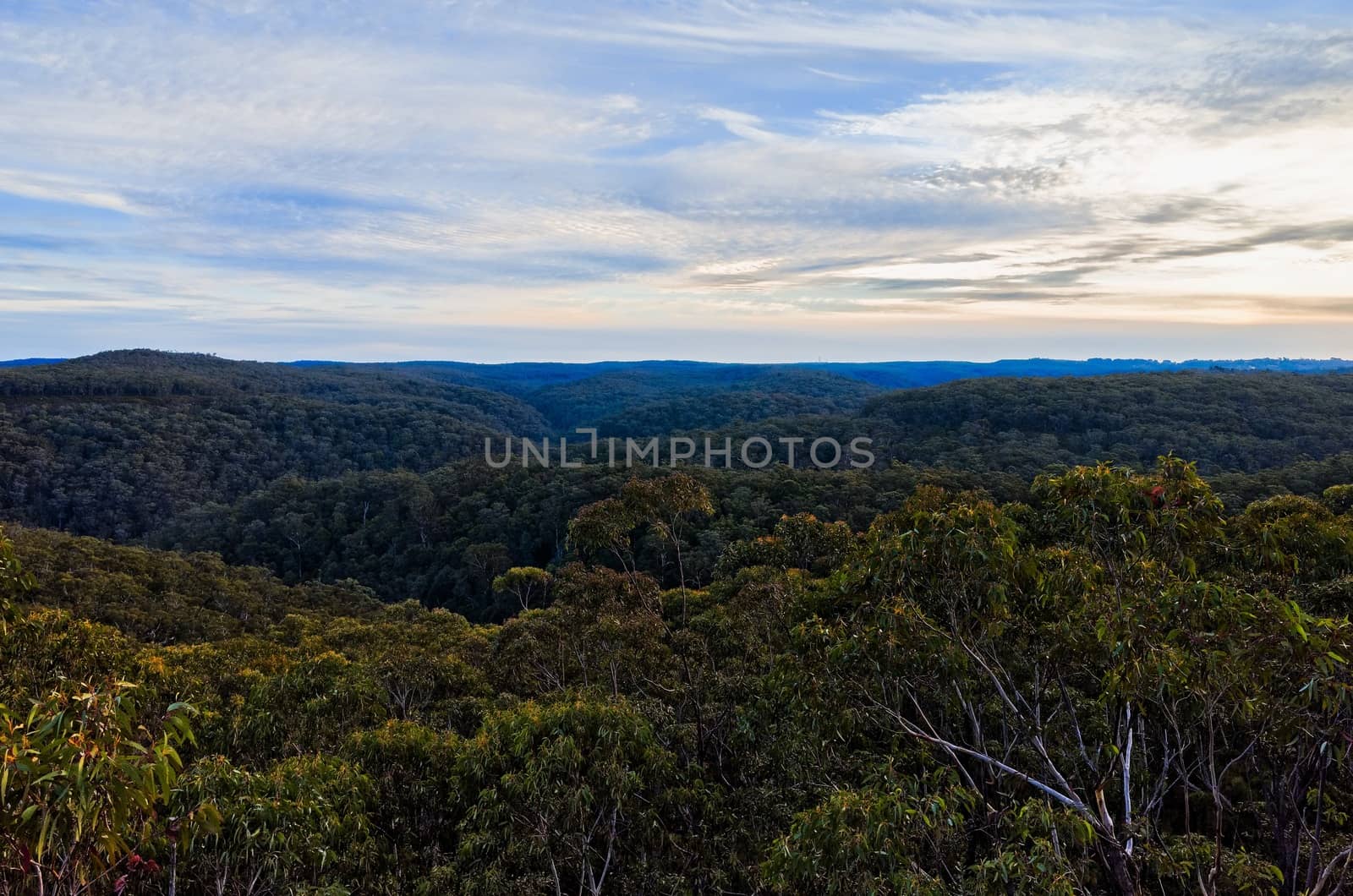 Blue Mountains National Park by jaaske