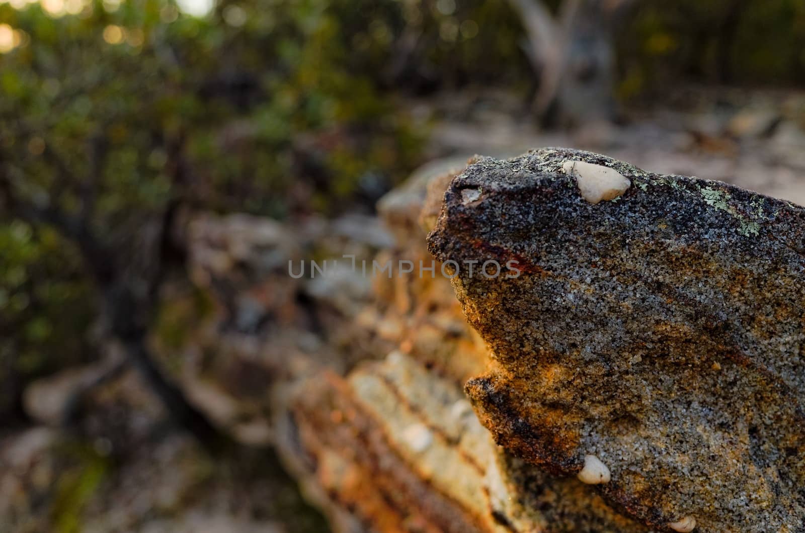 Rock formations in the Australian bush by jaaske