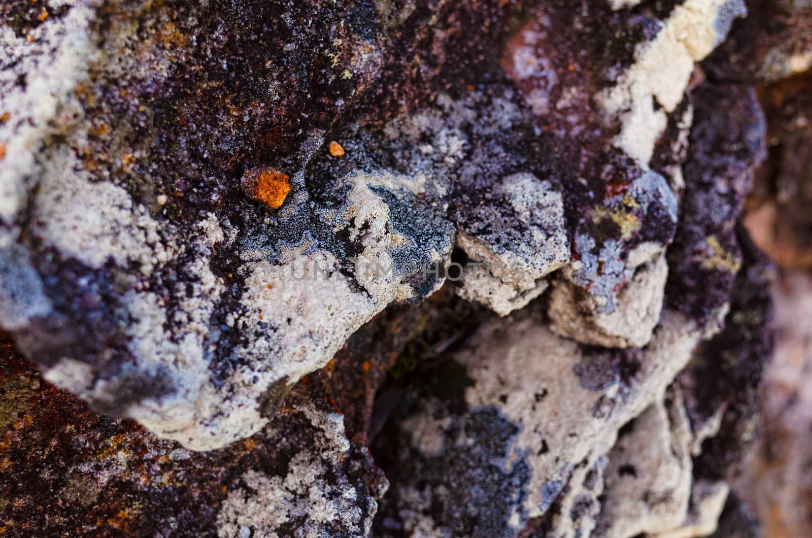 Stone with lichen texture background by jaaske