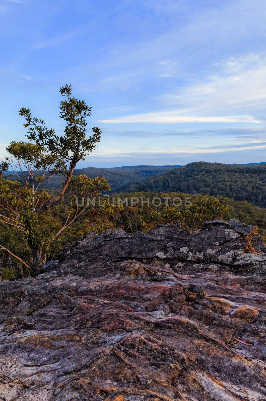 The Blue Mountains National Park, New South Wales, Australia