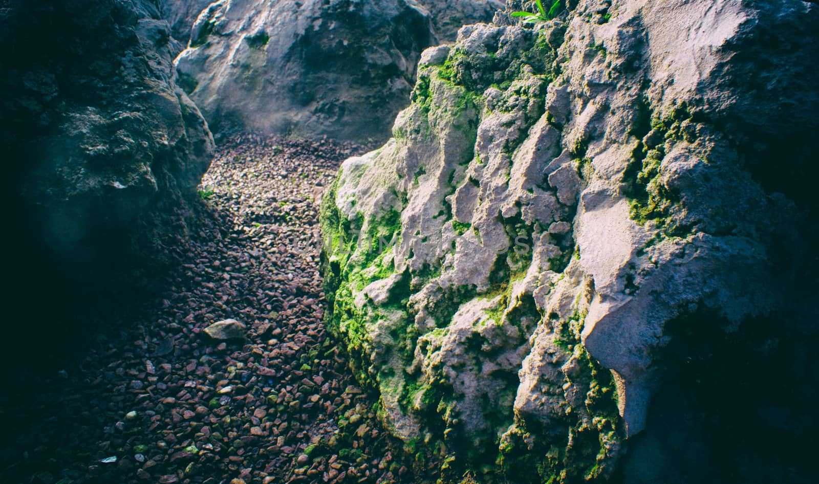 Photograph of some rocks on a natural background