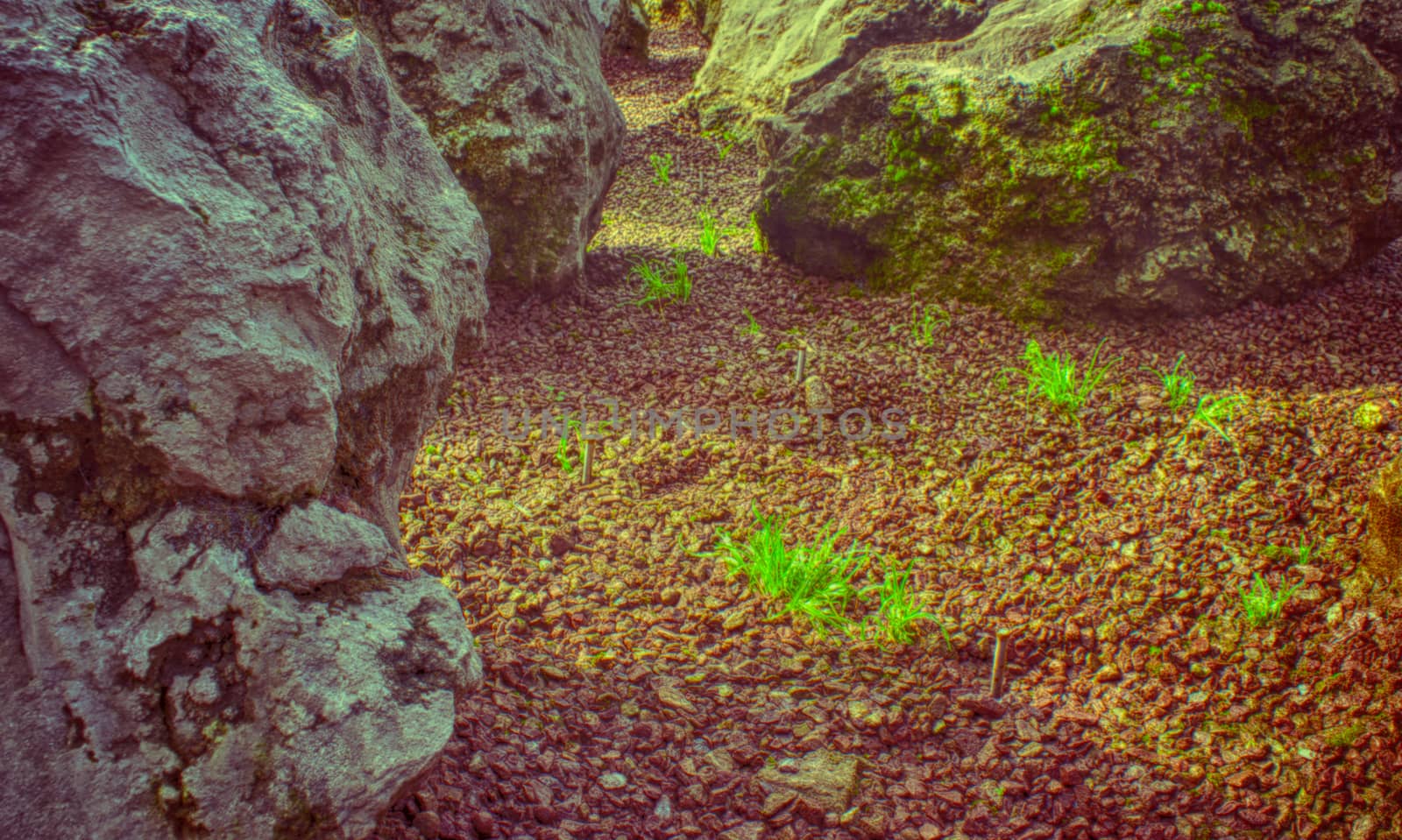 Photograph of some rocks on a natural background