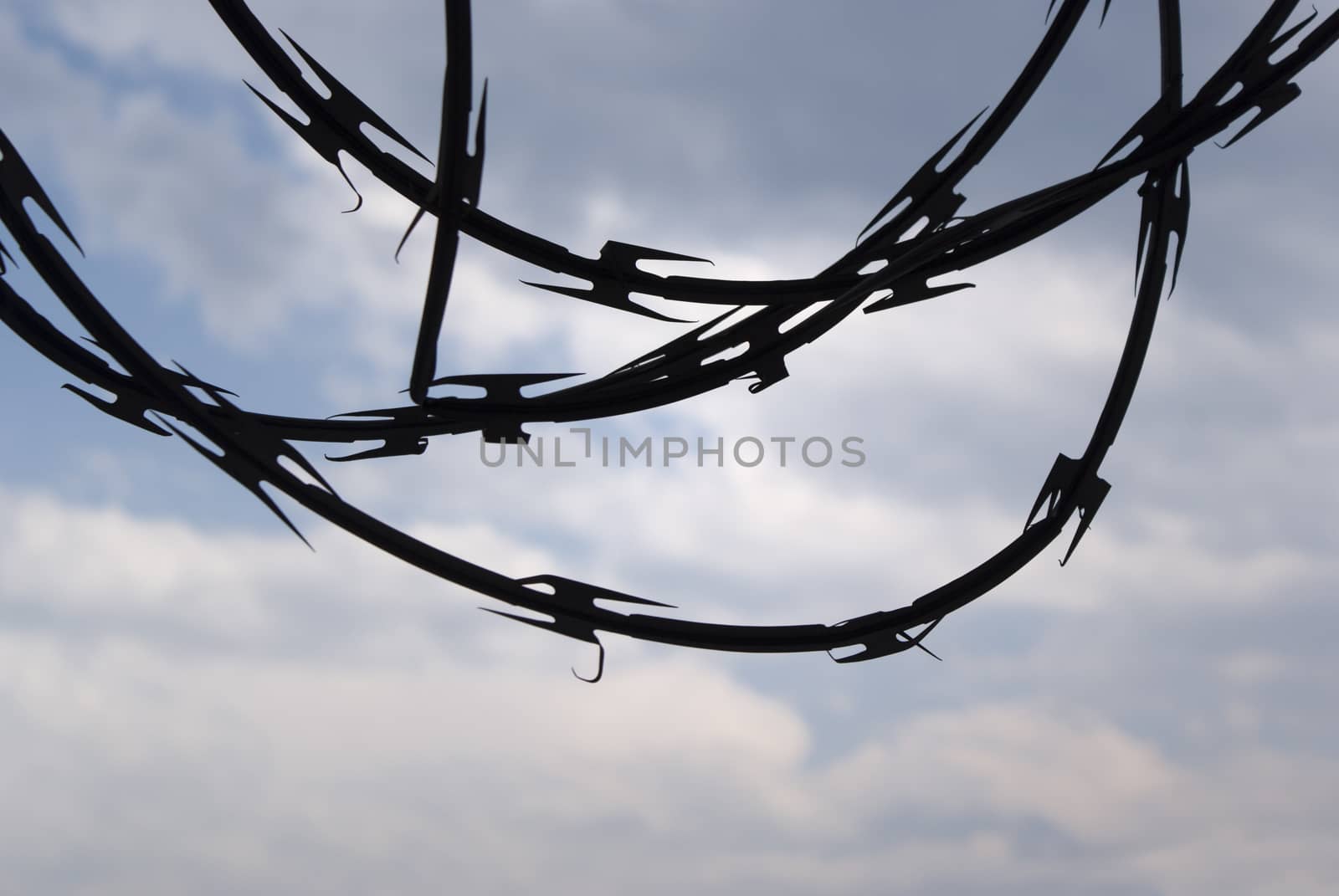 Photograph of a cloudy blue bright sky with a barb wire silhouette