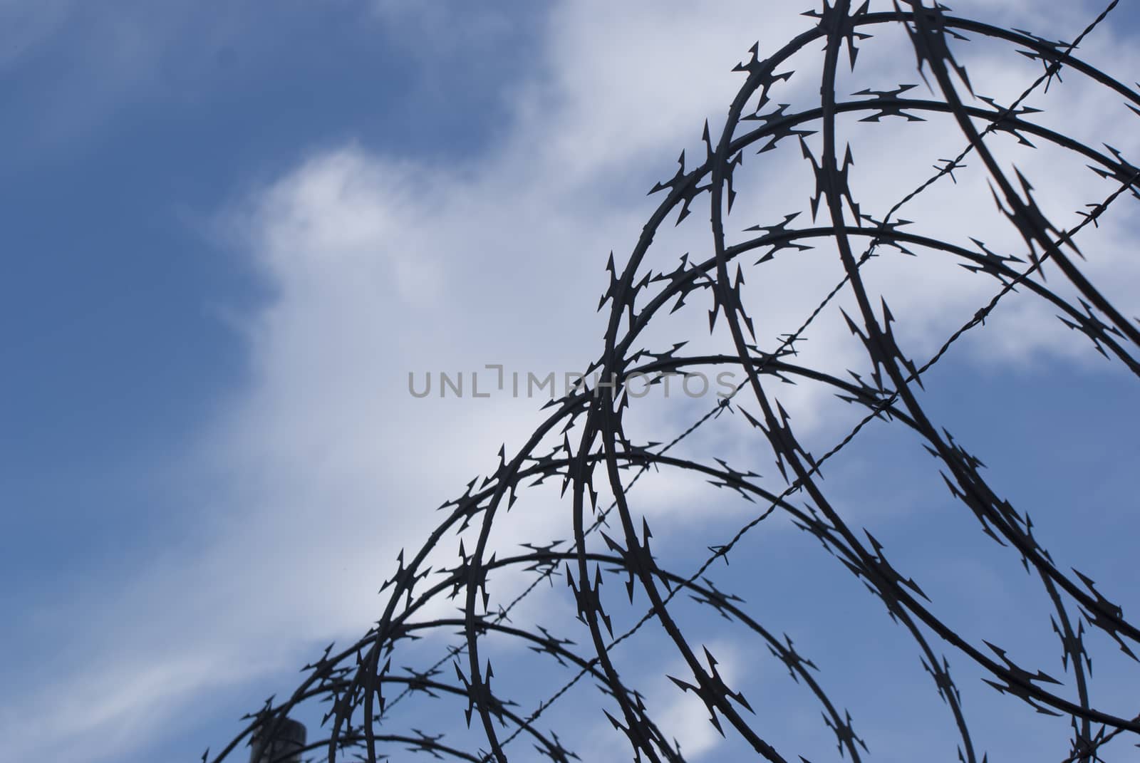 Photograph of a barb wire on a cloudy sky