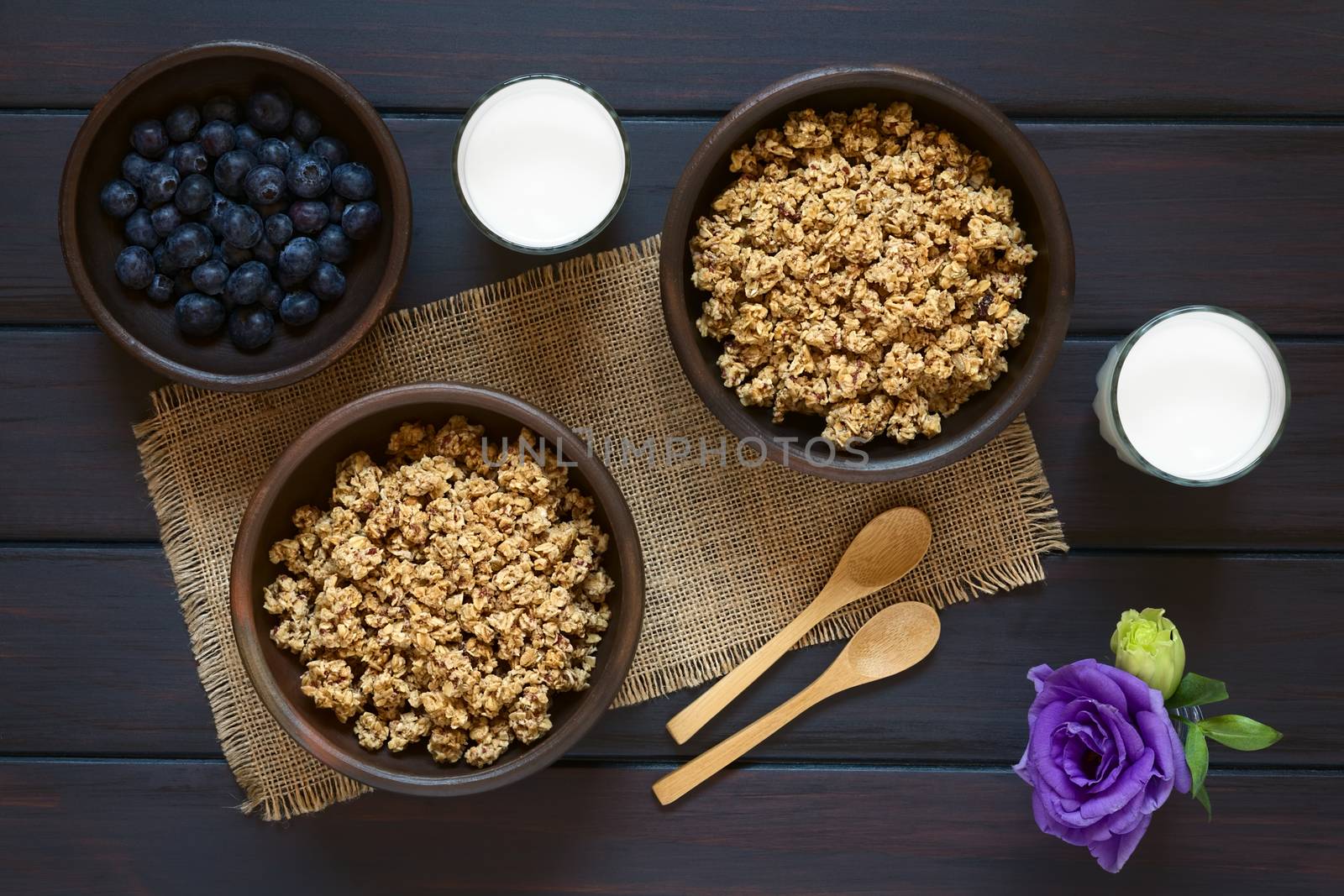 Dried berry and oatmeal breakfast cereal in rustic bowls with glasses of milk and fresh blueberries, photographed overhead on dark wood with natural light 