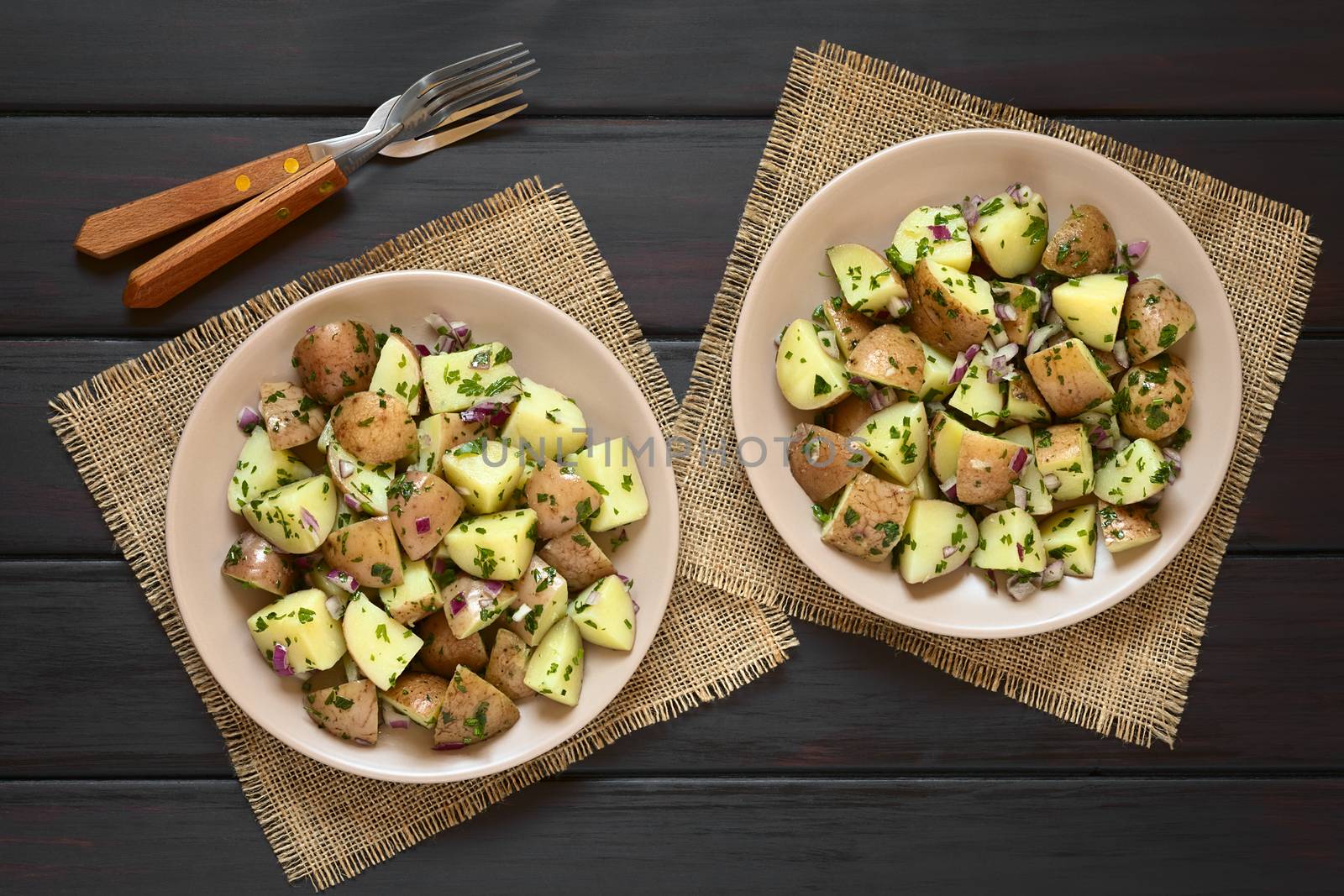 Potato Salad with Red Onion and Herbs by ildi