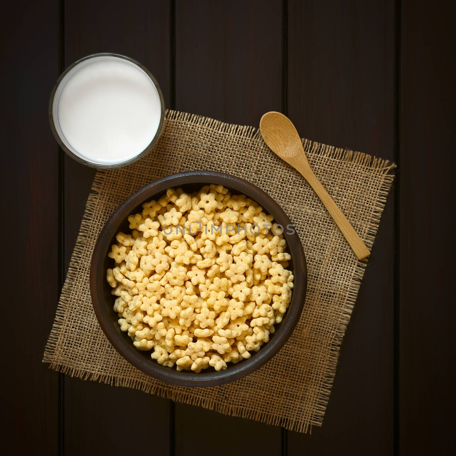 Honey Flavored Breakfast Cereal and Milk by ildi