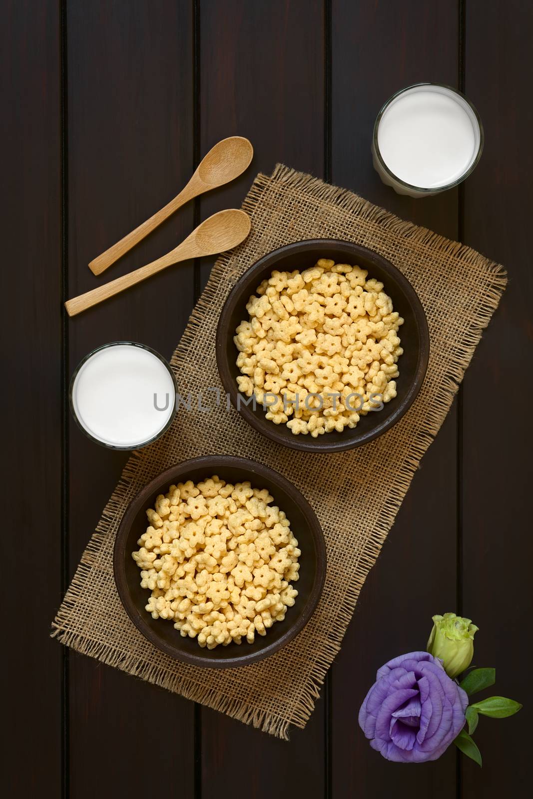 Honey flavored breakfast cereal in two rustic bowls with glasses of milk and wooden spoons on the side, photographed overhead on dark wood with natural light