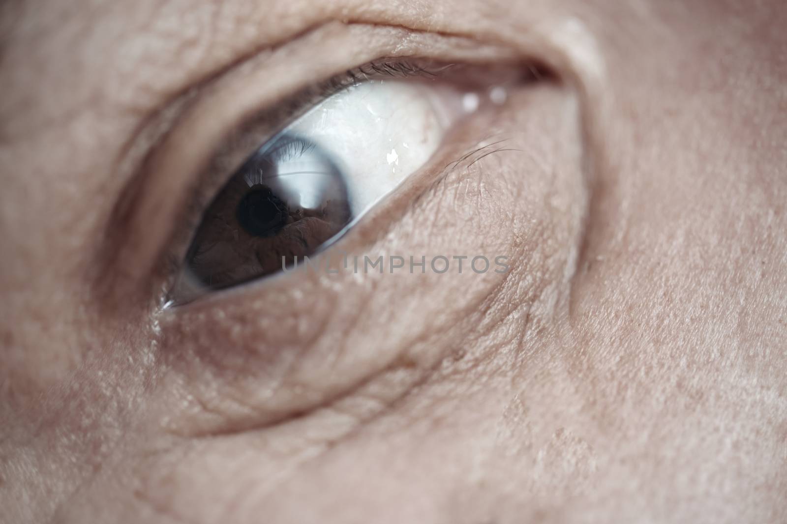 Close-up view on the eye of elderly human