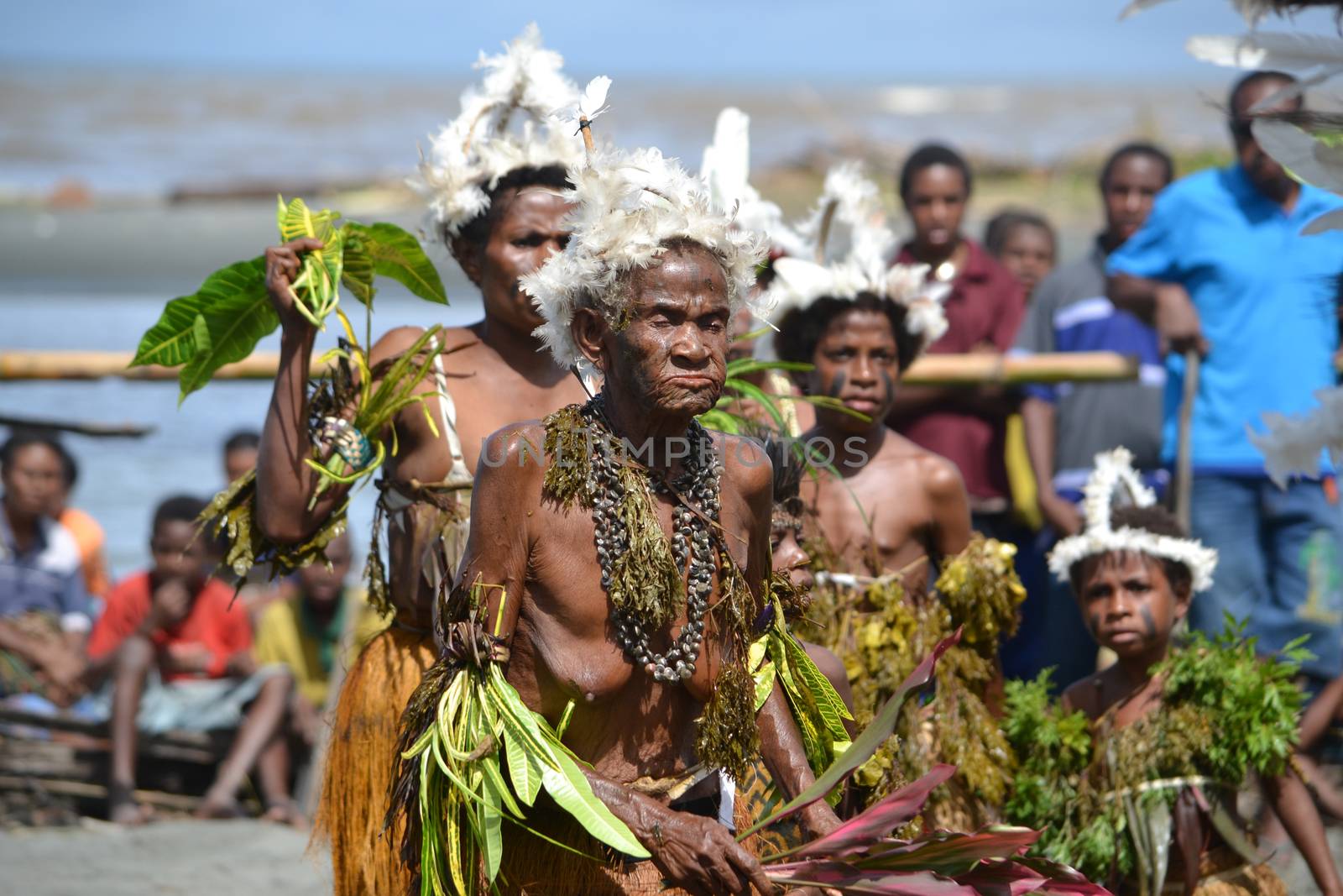 Traditional tribal dance at mask festival.
7th Gulf Mask Festival, Toare Village, Gulf Province, Papua New Guinea on June 19, 2011