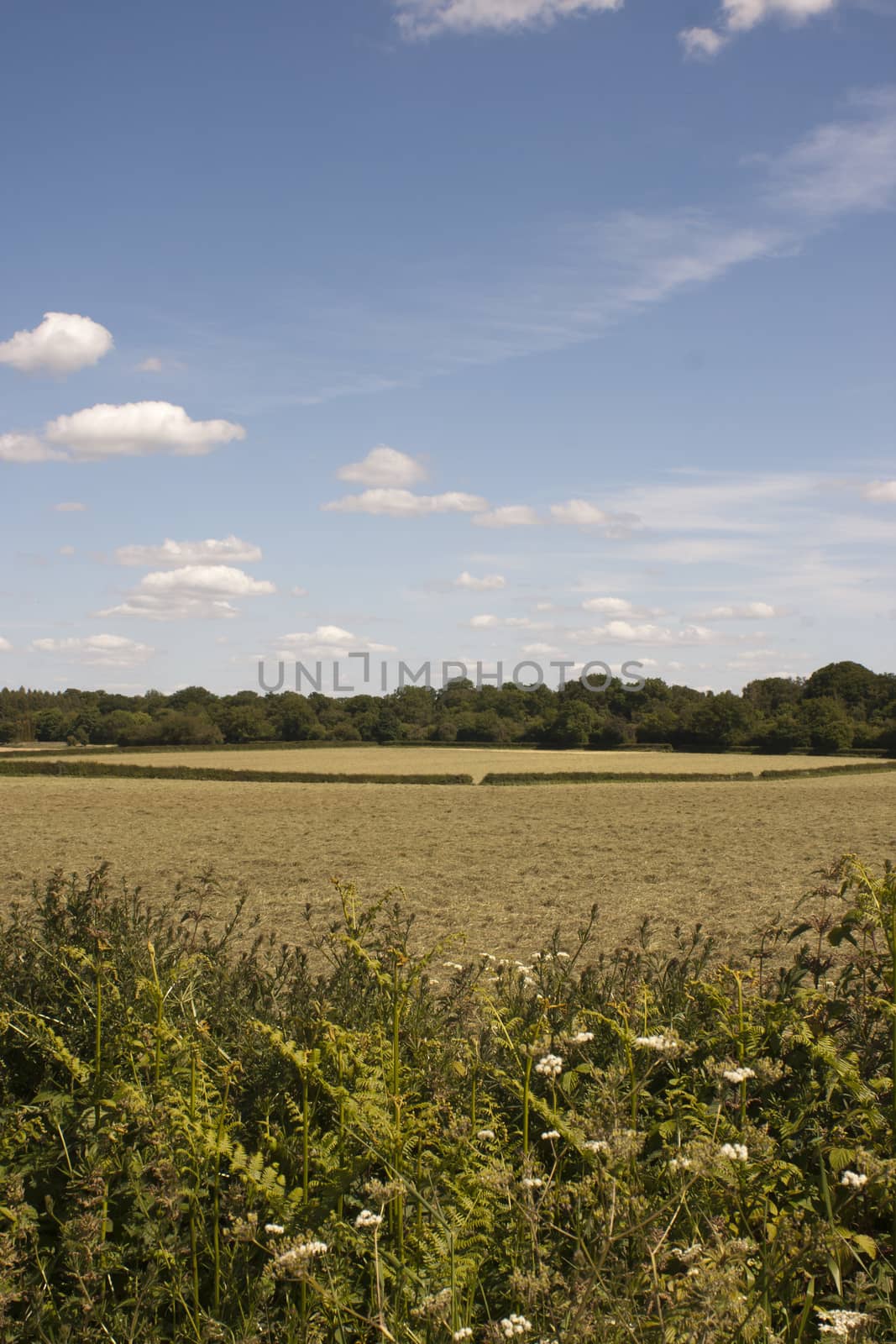 Country side taken from around Holmer Green, Buckinghamshire, England