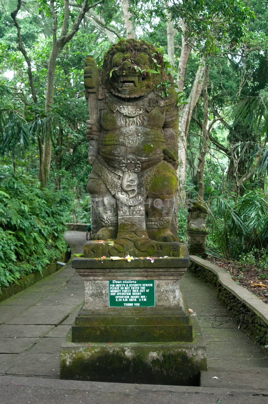 Padangtegal Monkey Forest, Wenara Wana, sacred sanctuary and touristic destination in Ubud, Bali, Indonesia