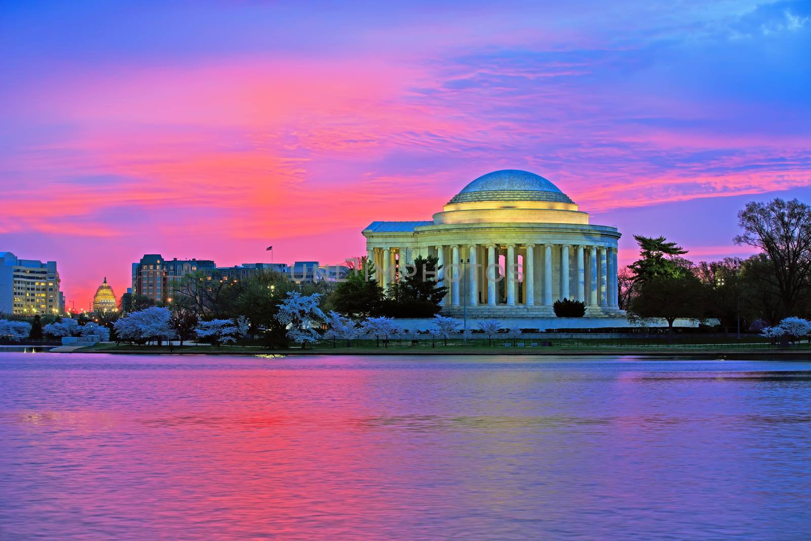 Sunrise at the Thomas Jefferson Memorial in Washington DC. The famous cherry trees are in full bloom.
