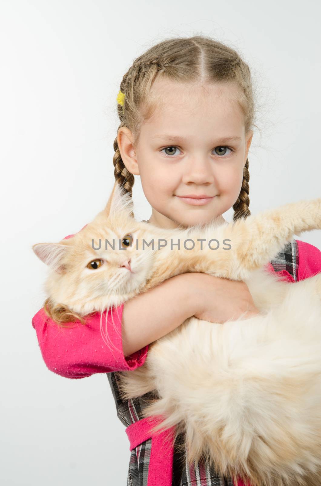 Portrait of cheerful four-year girl with cat in her arms
