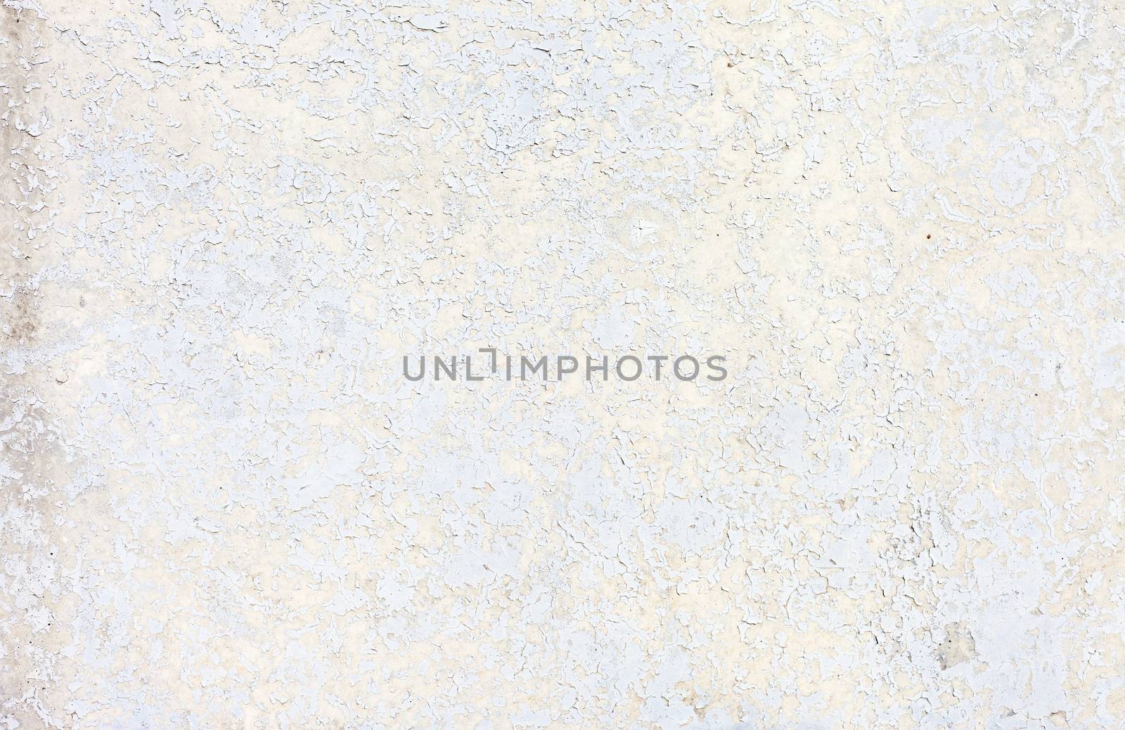 Grunge white background cement old texture wall