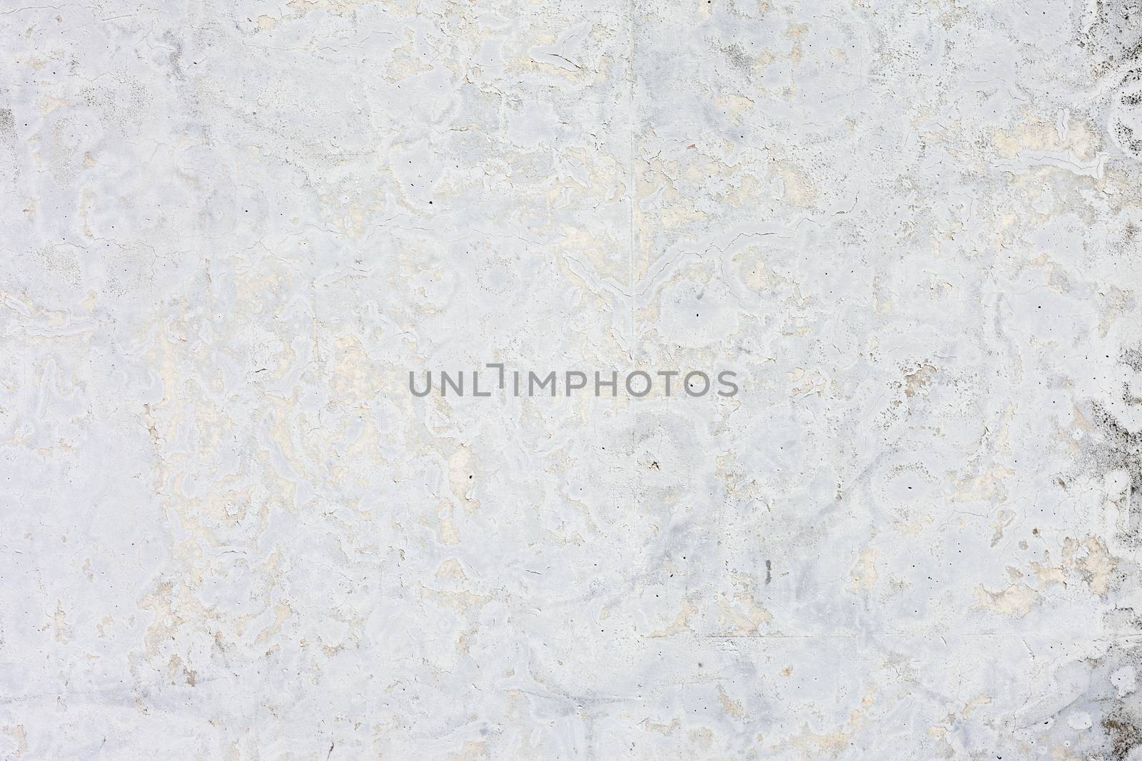 Grunge white background cement old texture wall