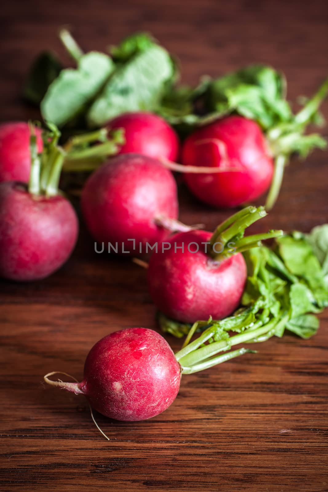 Radishes on a Cutting Board by SouthernLightStudios