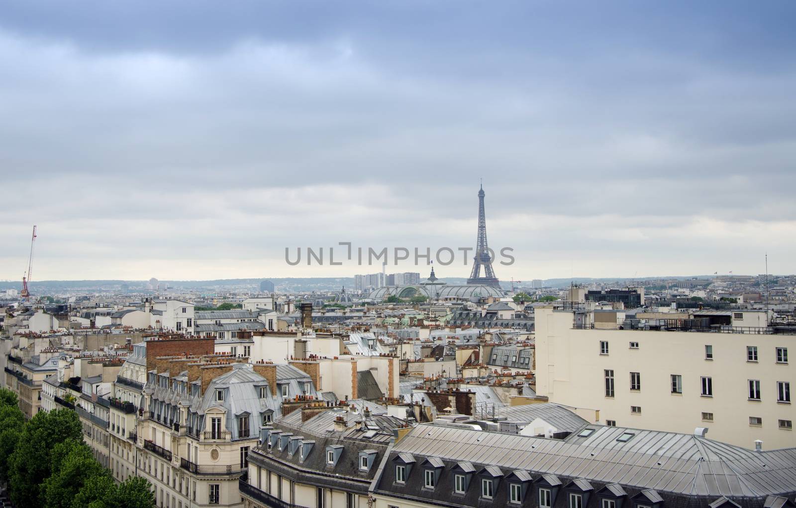 Roofs of Paris with Eiffel Tower in background, France.