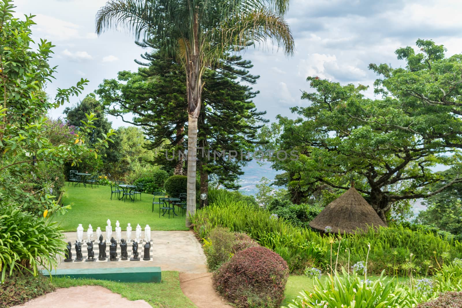 Tables set in a beautiful garden with gigantic trees in the the Mountains