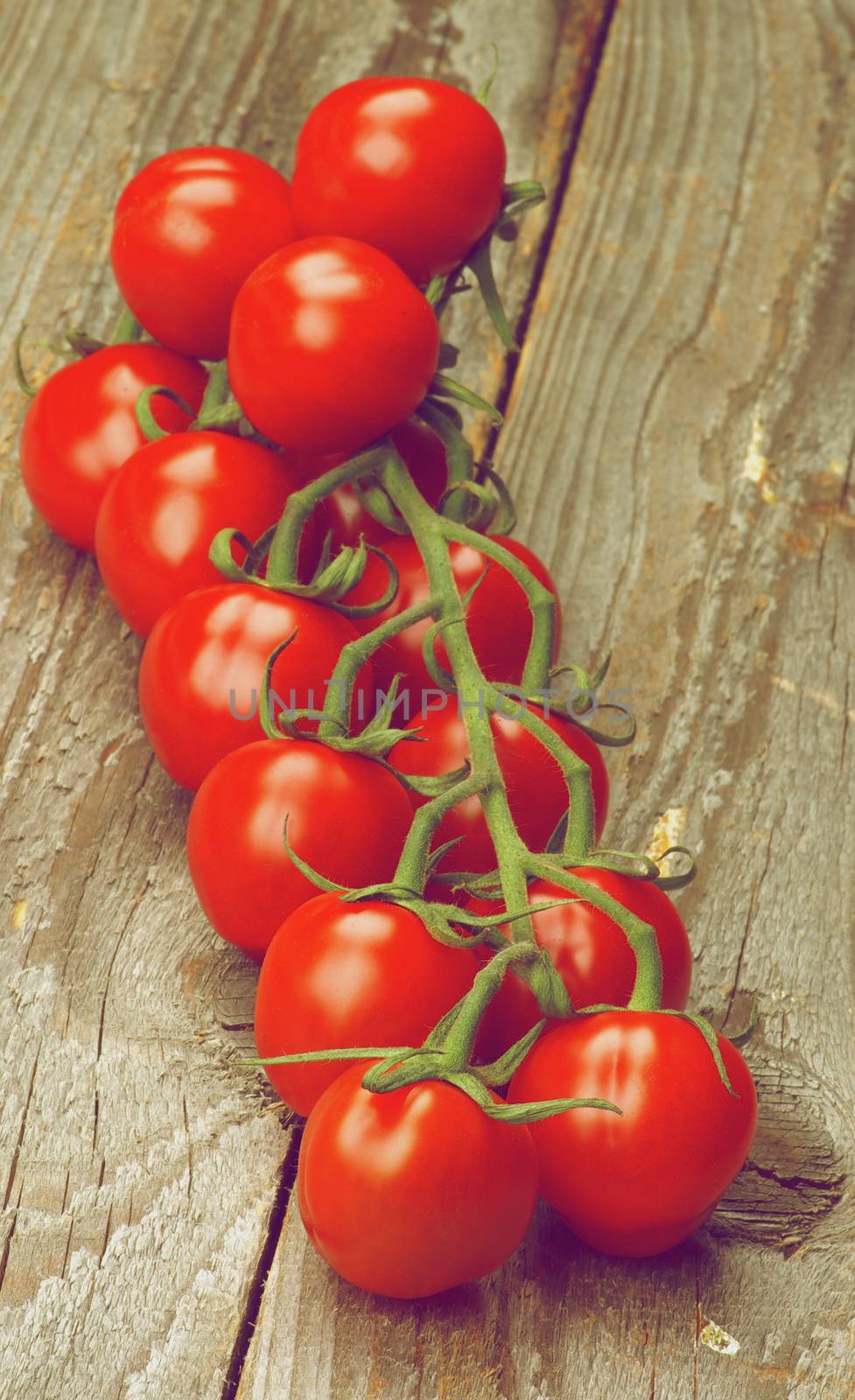 Perfect Ripe Cherry Tomatoes on Stem In a Row on Rustic Wooden background. Retro Styled