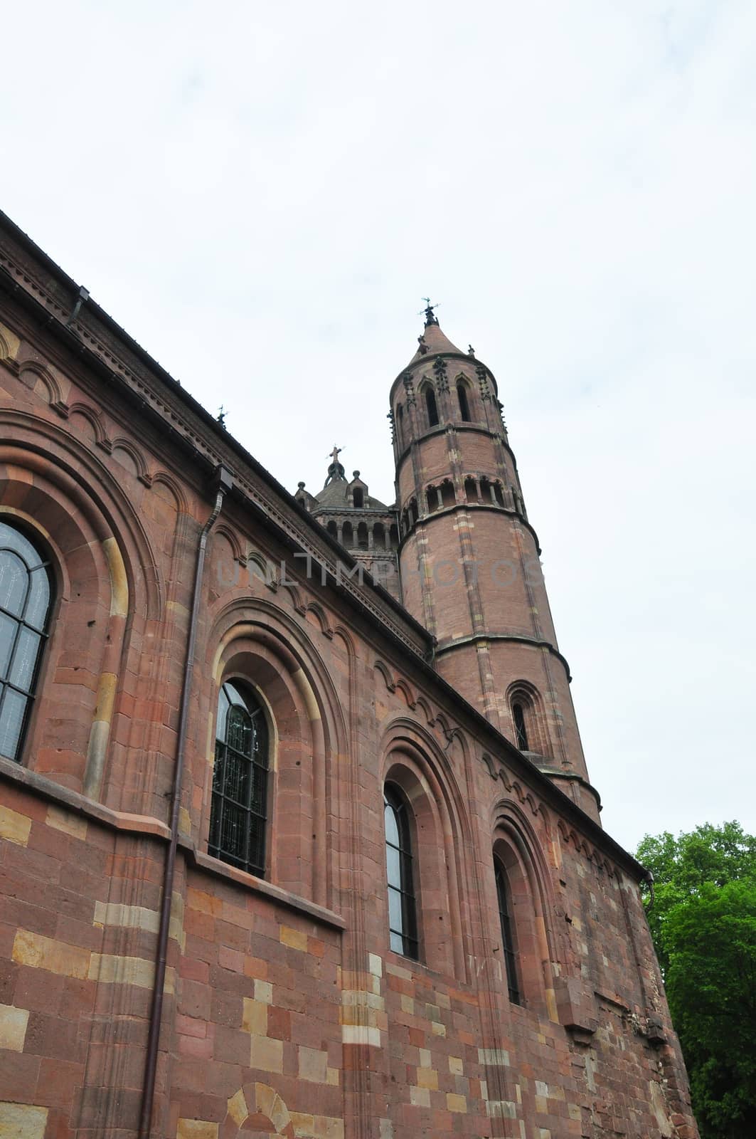 Cathedral Saint Peter in Worms, Germany by rbiedermann
