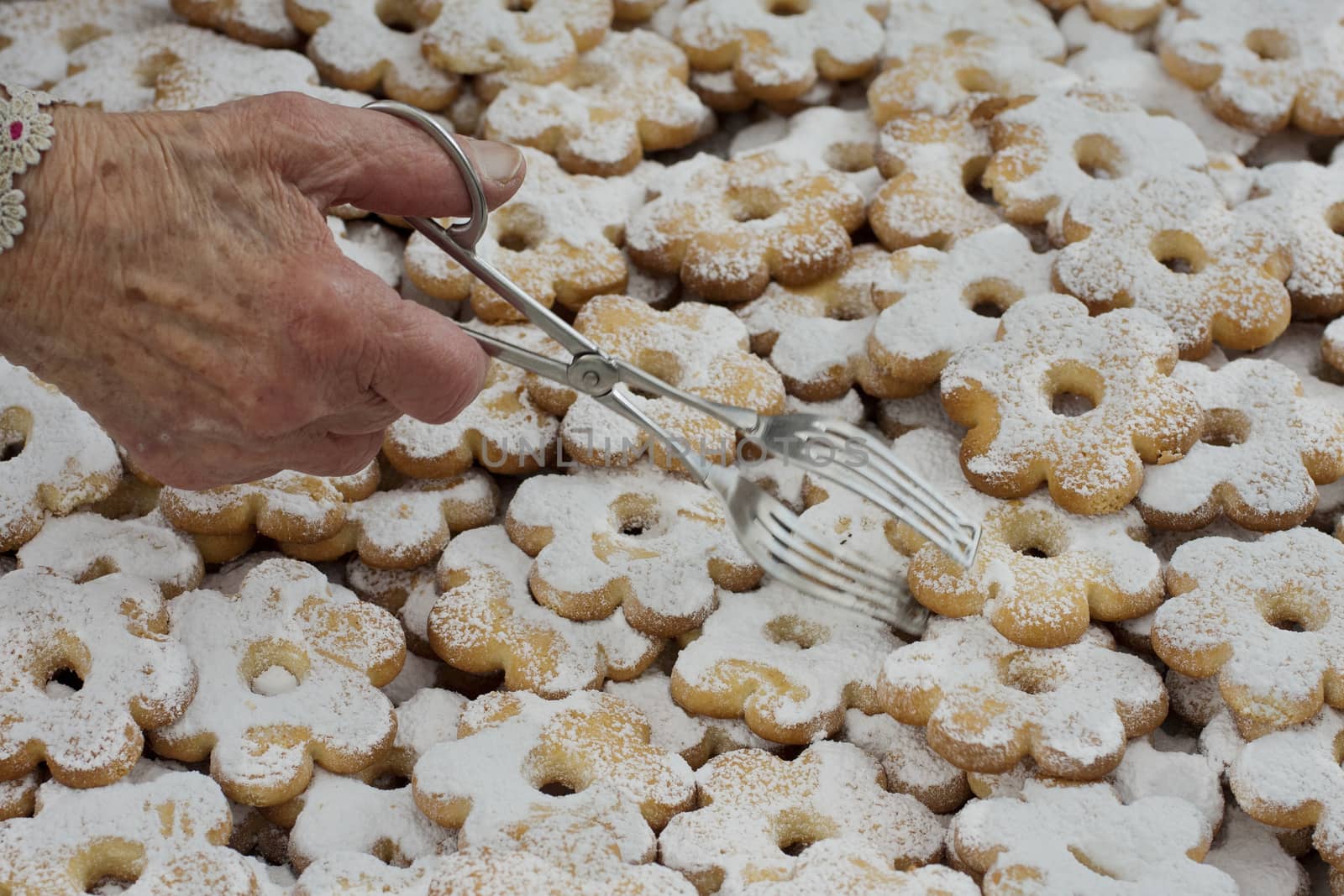 typical sweet of Genoa, Italy, called canestrello, made with flour, sugar and butter