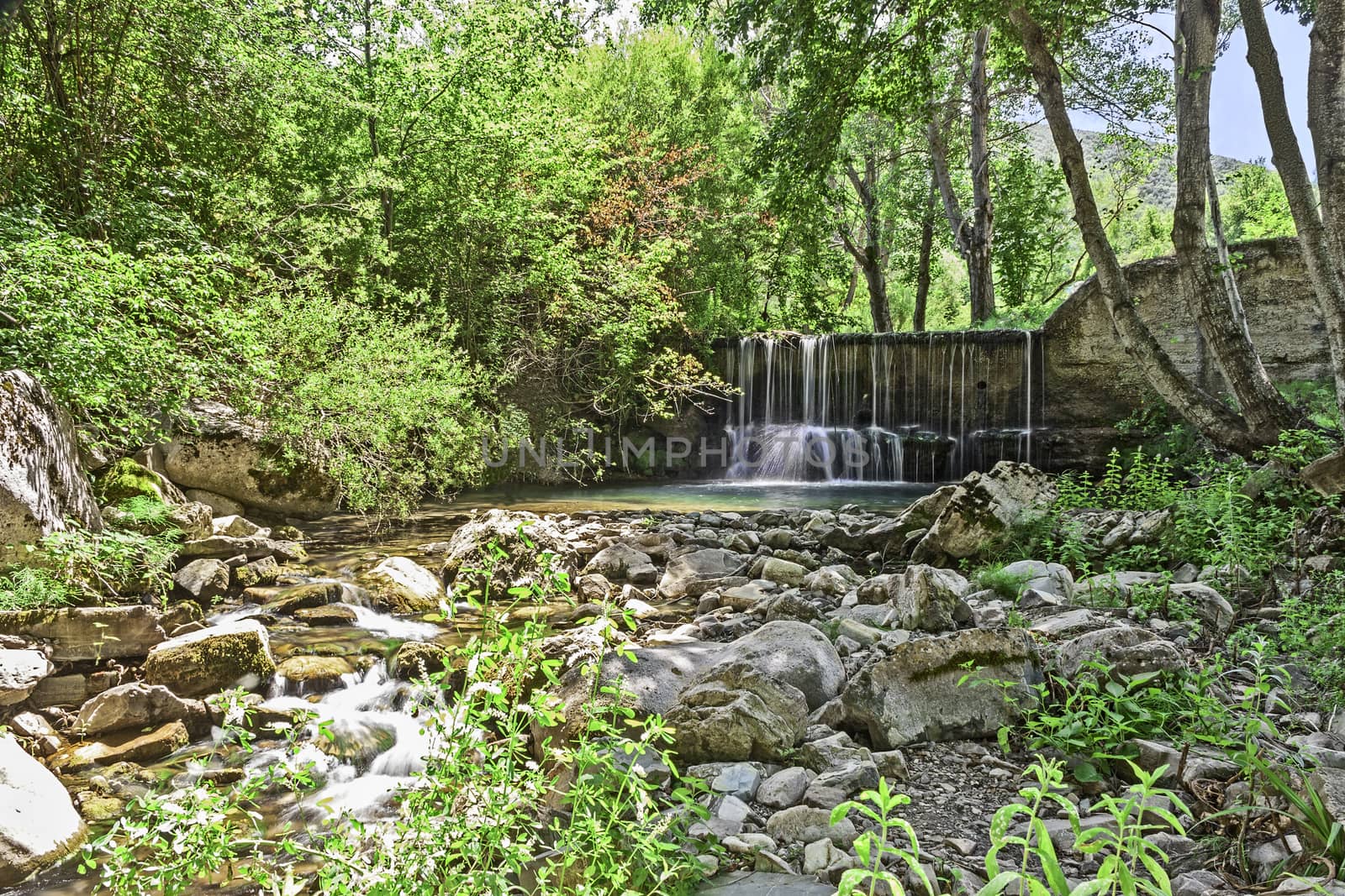 waterfall in green environment