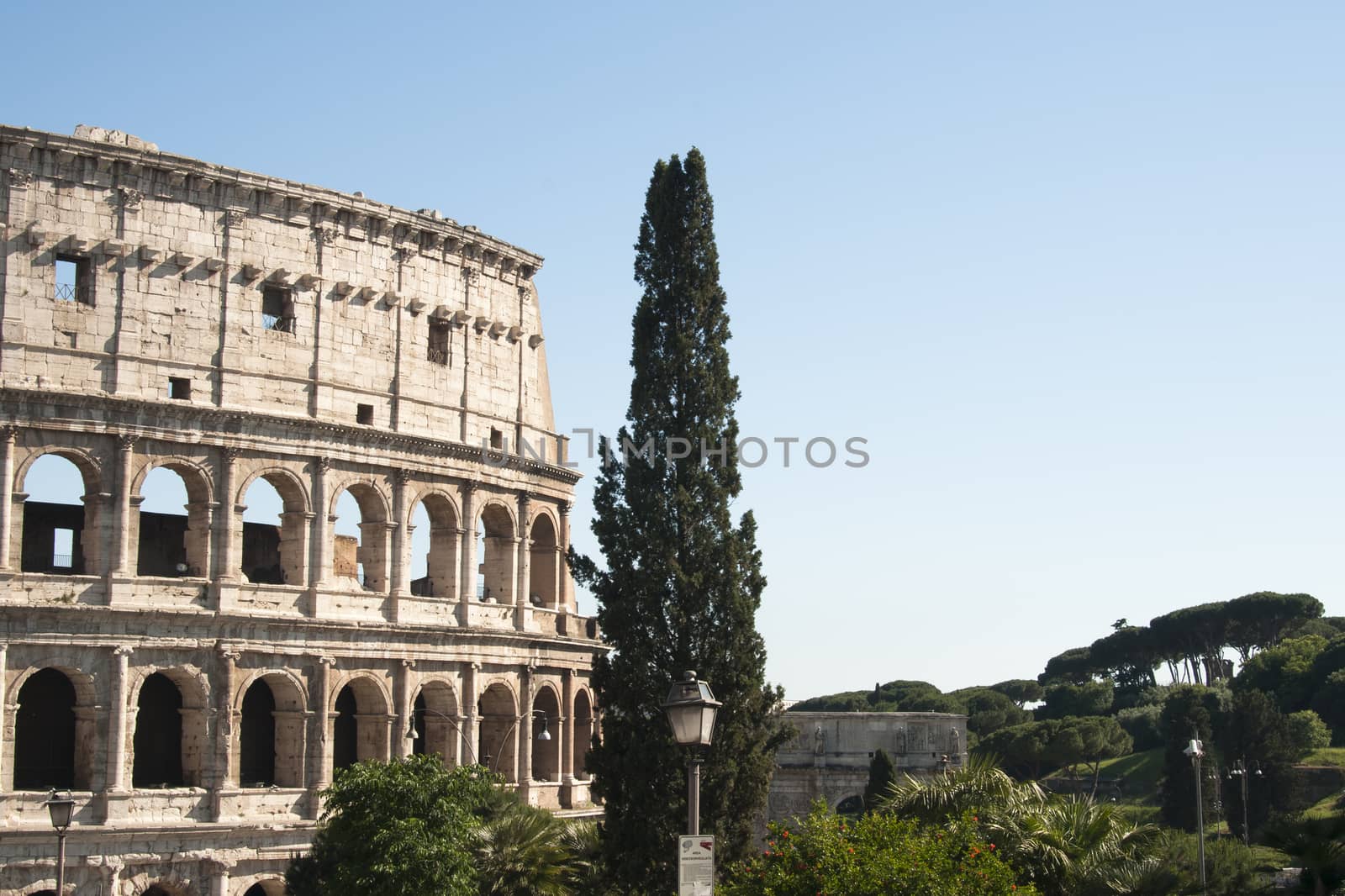 Coliseum during the day