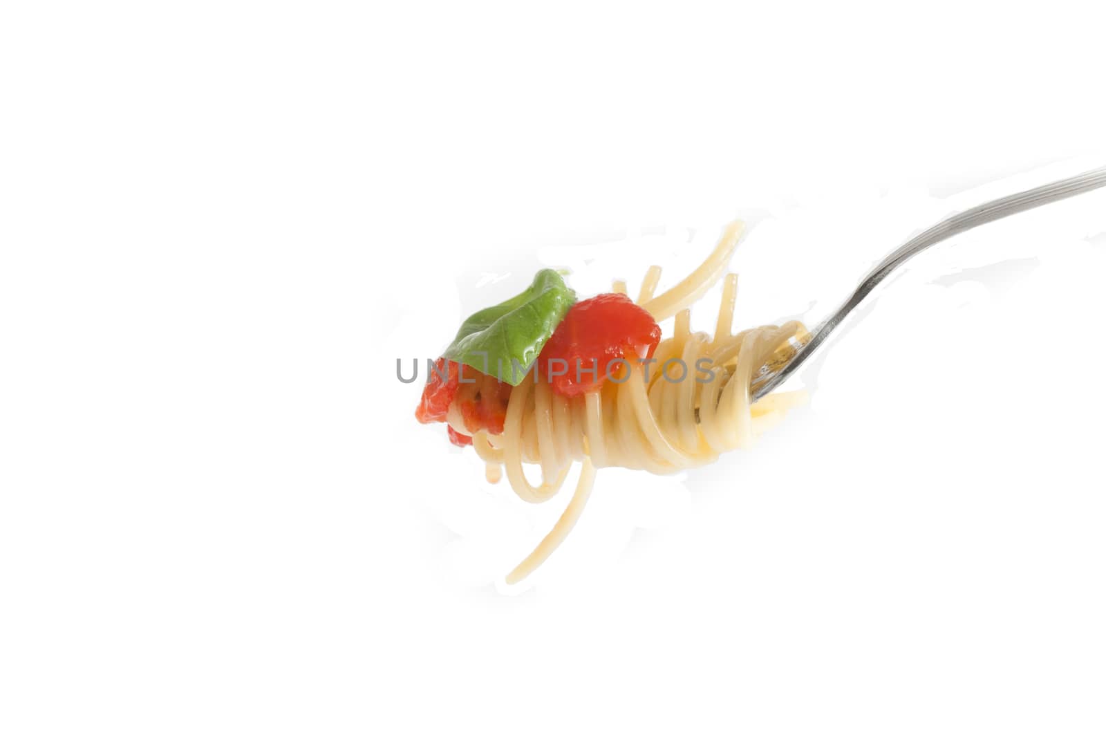 Spaghetti with fresh tomato rolled on fork. Traditional Italian Food