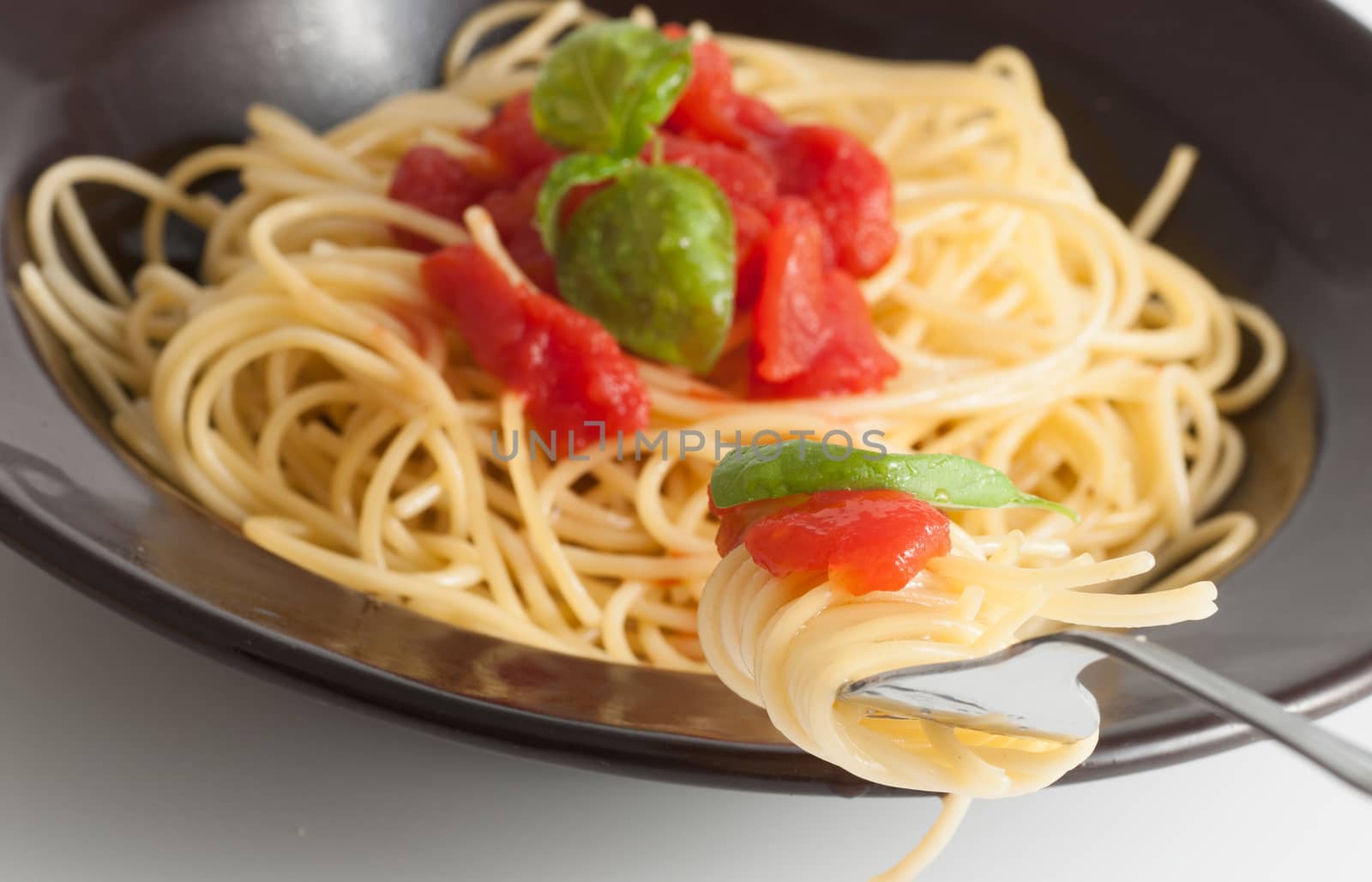 spaghetti with fresh tomato and basil