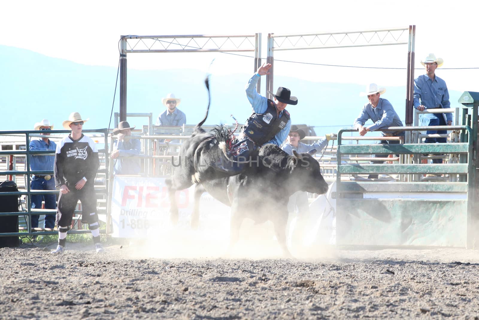 MERRITT, B.C. CANADA - May 30, 2015: Bull rider riding in the first round of The 3rd Annual Ty Pozzobon Invitational PBR Event.