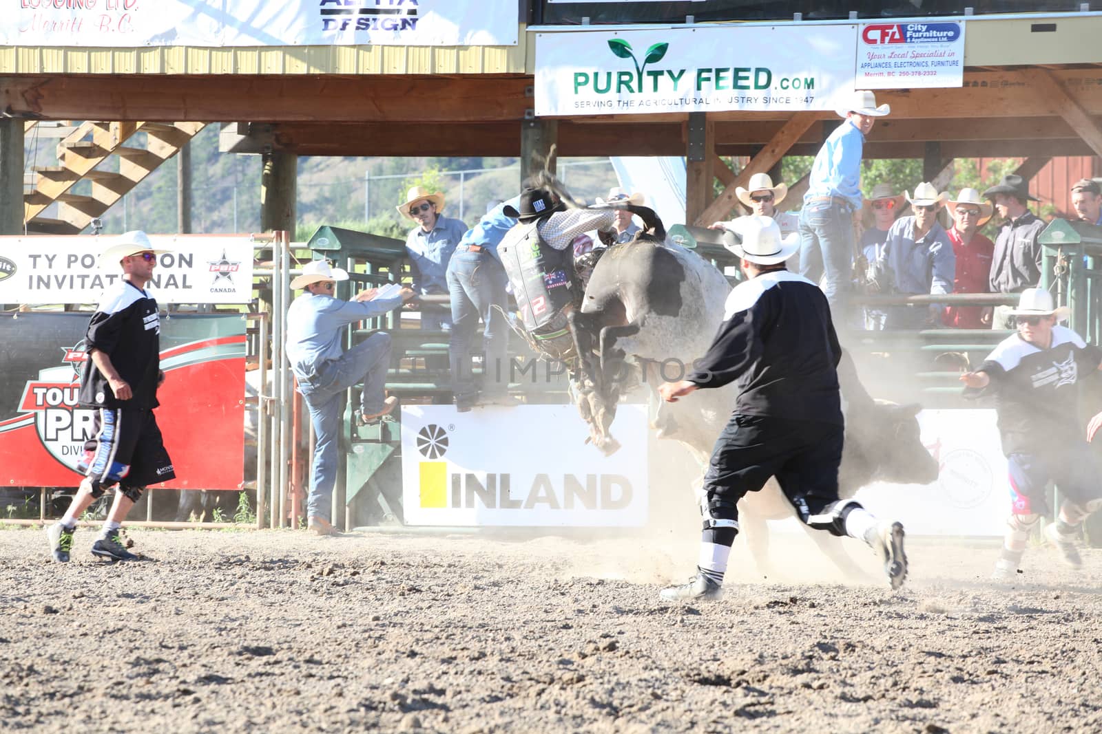 MERRITT, B.C. CANADA - May 30, 2015: Bull rider riding in the first round of The 3rd Annual Ty Pozzobon Invitational PBR Event.