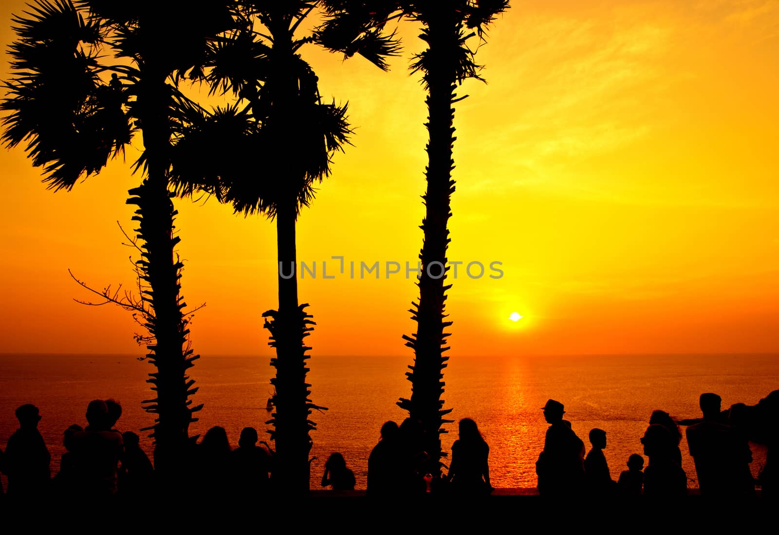 Silhouette with color of the sunset, Lan prom thep view point(Name thai),  Phuket Thailand