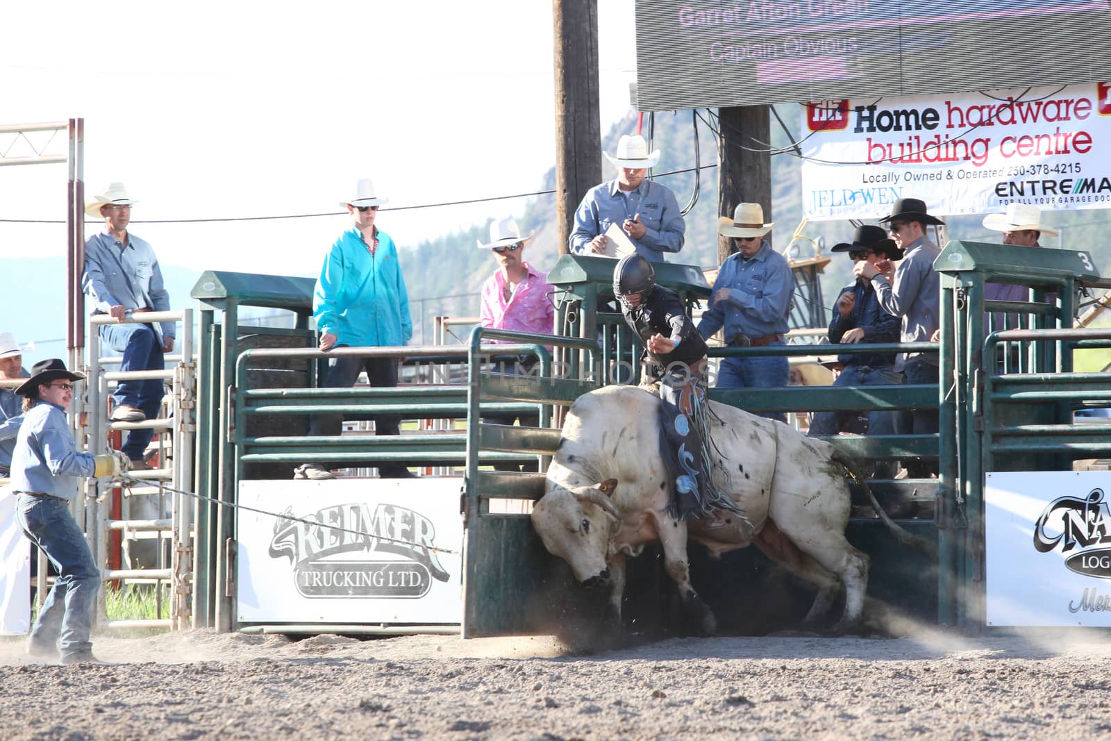 MERRITT, B.C. CANADA - May 30, 2015: Bull rider riding in the first round of The 3rd Annual Ty Pozzobon Invitational PBR Event.