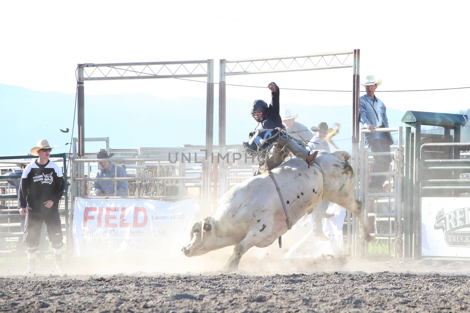 MERRITT, B.C. CANADA - May 30, 2015: Bull rider riding in the first round of The 3rd Annual Ty Pozzobon Invitational PBR Event.