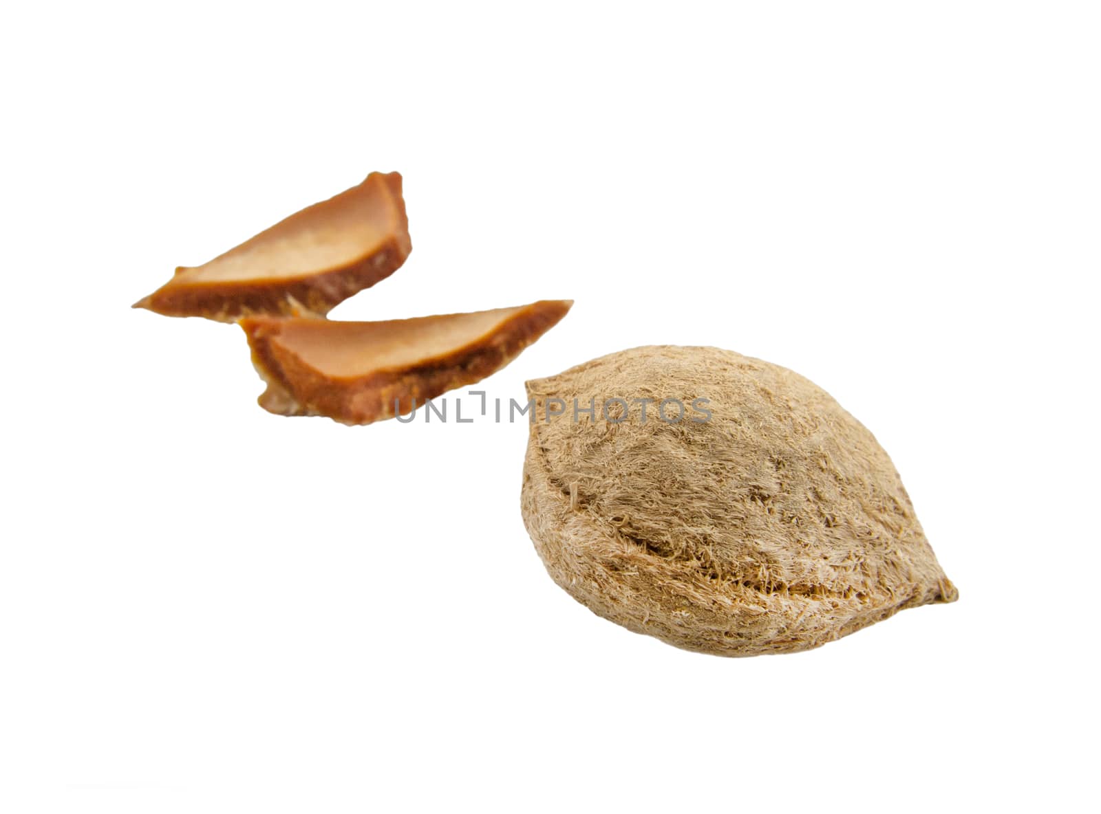 Nut isoleted on white background shoot soft focus,clipping paths