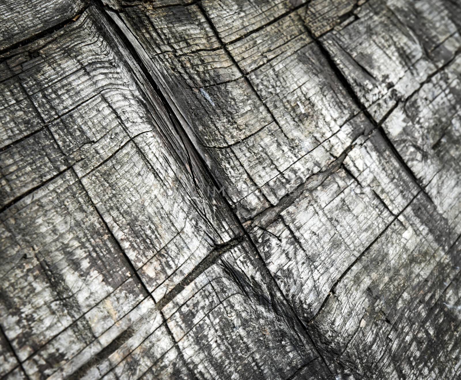 abstract background Old wood texture with cuts